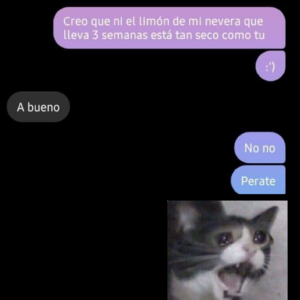 El impacto de las Redes Sociales en los Ecuatorianos